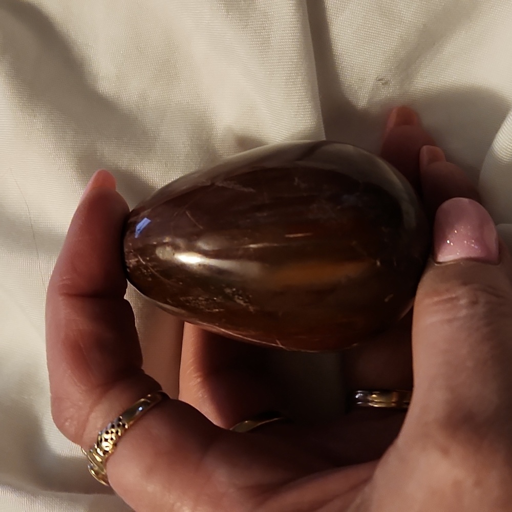 Petrified wood egg